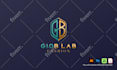 design a unique custom logo for companies and professionals