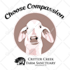 make cute animal illustration