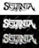 custom unique font for your brand or name