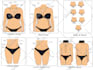 draw professional anatomy and medical illustrations