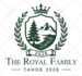 vector redraw, convert logo to vector, convert image to vector, vectorize image