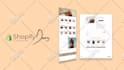 design shopify website or shopify store