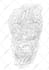 outline tattoo stencil for thermal printer, tracing