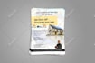design attractive flyer or poster