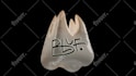 make premium 3d cgi ads  realistic product animation