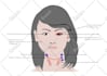 make medical illustrations, anatomy diagrams and presentations