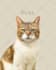 draw custom pet portrait, digital pet, pet drawing