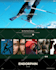 add custom HTML, CSS, and js code to squarespace, shopify, and wordpress website