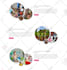 design a professional wordpress website using elementor