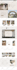 clone copy or duplicate website into wordpress