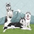do animals cartoon illustration