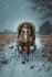 create amazing images and concept art using midjourney ai