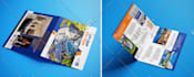 design a corporate brochure for your business
