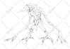 draw your custom dnd character