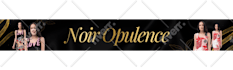 make attractive, professional shopify, ebay, etsy banner ads