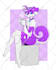 draw your furry, fursona, and anthro characters for you