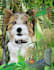 make a cartoon of your pet
