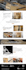 convert psd, figma, xd, sketch to wordpress by elementor pro