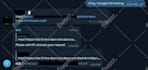 create a professional telegram bot with database and API