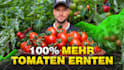 design captivating youtube thumbnail that boosts your CTR