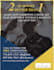 do custom flyer design in 24 hours