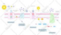 make all types of scientific illustrations