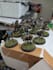paint your warhammer, or other tabletop miniatures and more