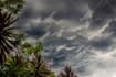 create rain video with natural sound in a cozy room
