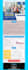 design mailchimp email template