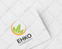 design a modern and professional logo with fast delivery