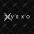 design timeless trendy logo with fast delivery