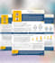 design awesome and unique flyer, poster and brochure