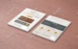 design a professional flyer, brochure, and poster