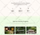 create wordpress website design and website development