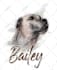 draw your pet portrait in scribble art portrait style