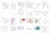 create infographic, flow charts, diagrams, amazon images,