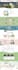 create a modern and mobile responsive wordpress website