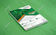 do your flyer and brochure design