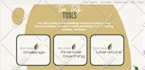craft stunning canva web designs for digital presence