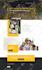 clone duplicate copy redesign any website using wordress elementor pro