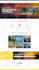 do wordpress website development for ecommerce and business website
