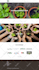 convert, clone or migrate wix, weebly, webflow, squarespace to wordpress website