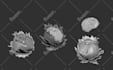 sculpt 3d character, 3d sculpture, 3d model for printing with zbrush and blender