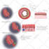 draw digital coloured anatomy and medical illustrations