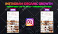do instagram promotion for organic growth