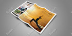 create a poster, flyer, postcard and door hanger design