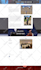 build professional wordpress website design and customization using elementor