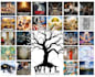 create a custom vision board for your goals