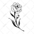 design a flash minimalist tattoo for you
