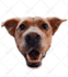 remove bulk product background removal, white, transparent, and cutout images